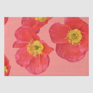Papier Mousseline Fleurs rouges de pavot