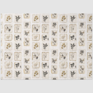 Papier Mousseline Fleurs sauvages séchées pressées botanique herbe v