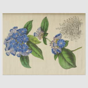 Papier Mousseline Fleurs vintages Florales Bleues Ephémère Découpage