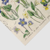 Papier Mousseline Fleurs Viola de script français cachet postal Vint (Détail)