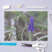 Papier Mousseline Fleurs violettes (Artisanat)