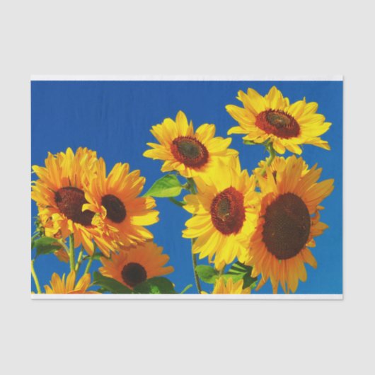 Papier Mousseline Floraison de tournesols (Recto)