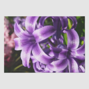 Papier Mousseline Floral Blue Hyacinth