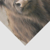 Papier Mousseline Floral Couronné Vaches Highland Rustique Whimsy Pa (Détail)