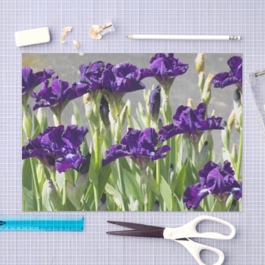 Papier Mousseline Floral d'Irises violettes profondes (Artisanat)