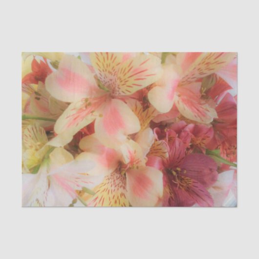 Papier Mousseline Floral doux (Recto)
