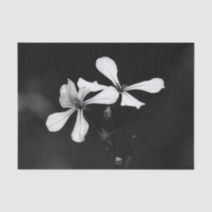 Papier Mousseline floral noir et blanc minimal