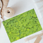 Papier Mousseline Floral Shamrock vert brillant