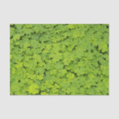 Papier Mousseline Floral Shamrock vert brillant (Recto)