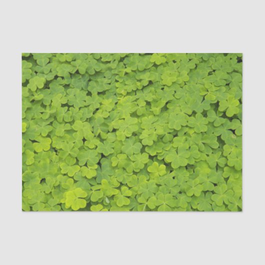 Papier Mousseline Floral Shamrock vert brillant (Recto)
