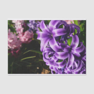 Papier Mousseline Flore de printemps Blue Hyacinth II