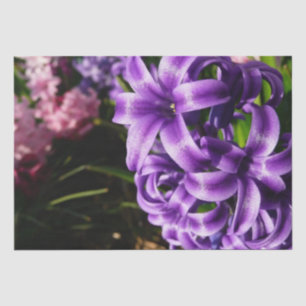 Papier Mousseline Flore de printemps Blue Hyacinth II