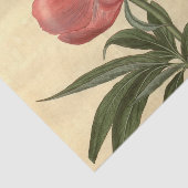 Papier Mousseline Flore Ephémère Découpage Fleur rose (Détail)