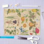 Papier Mousseline Flore vintage et fruits (Artisanat)
