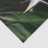 Papier Mousseline Flower tropical orange paradise (Détail)