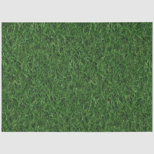 Papier Mousseline Fond d'herbe verte (Recto)