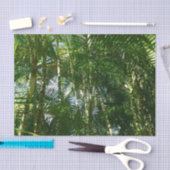Papier Mousseline Forest of Palm Trees Tropical Nature (Artisanat)