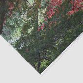 Papier Mousseline Forêt d'automne (Détail)