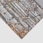 Papier Mousseline Forêt de Birch Tree (Détail)