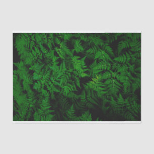 Papier Mousseline Forêt de Dinosaur