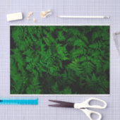 Papier Mousseline Forêt de dinosaures (Artisanat)