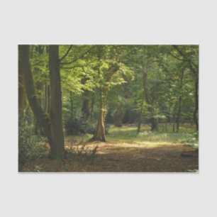 Papier Mousseline Forêt d'Epping