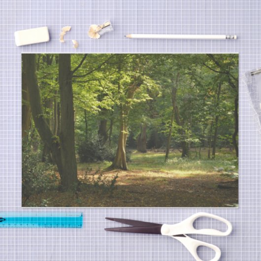 Papier Mousseline Forêt d'Epping (Artisanat)