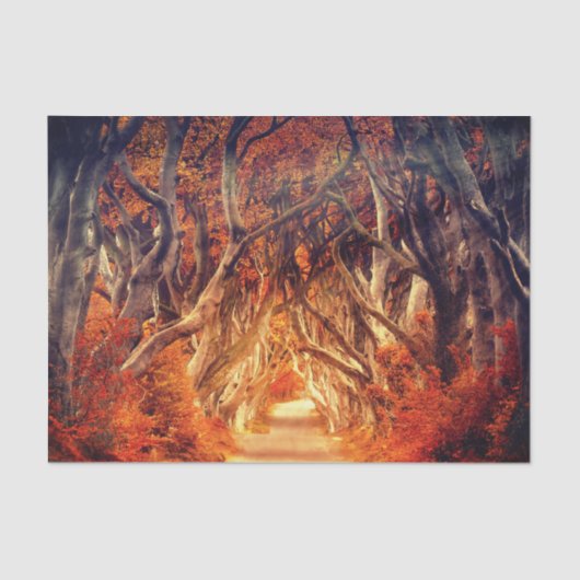 Papier Mousseline Forêt d'érable d'automne (Recto)