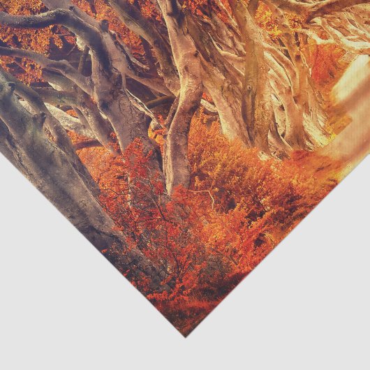 Papier Mousseline Forêt d'érable d'automne (Détail)