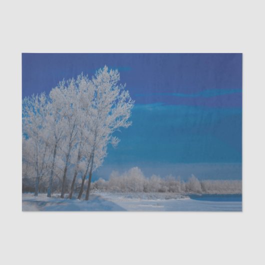 Papier Mousseline Forêt d'hiver Snow Blue Sky Nature (Recto)