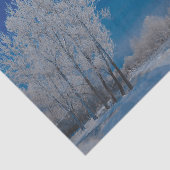 Papier Mousseline Forêt d'hiver Snow Blue Sky Nature (Détail)