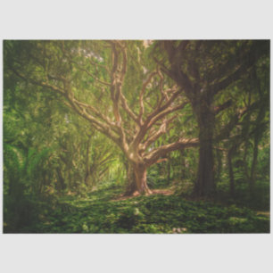 Papier Mousseline Forêt d'Imaginaire arborescente Gothique 20x30 Déc