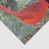 Papier Mousseline Forêt d'oiseaux d'hiver Cardinal Chickadee Nuthatc (Détail)