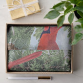 Papier Mousseline Forêt d'oiseaux d'hiver Cardinal Chickadee Nuthatc (Cadeau)
