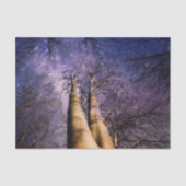 Papier Mousseline Forêt enchantée (Recto)