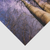 Papier Mousseline Forêt enchantée (Détail)