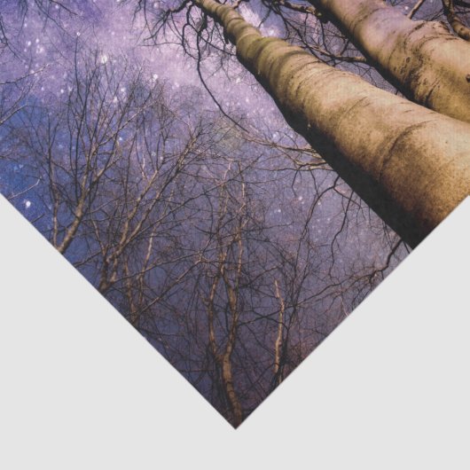 Papier Mousseline Forêt enchantée (Détail)