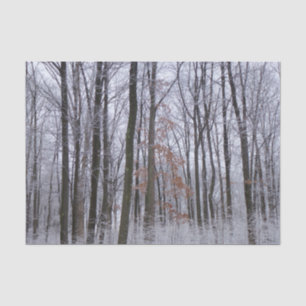 Papier Mousseline Forêt huppée neige paysage d'hiver Photographie