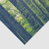 Papier Mousseline Forêt mystique (Détail)