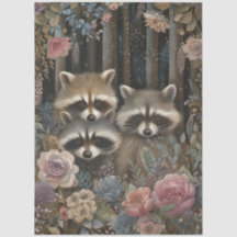 Forêts boisées de grande taille Flores et Raccoon 