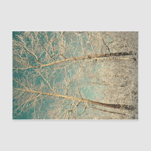 Papier Mousseline Forêts Ciel Turquoise Hiver Bois (Recto)