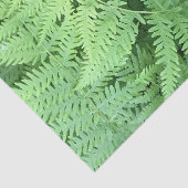 Papier Mousseline Fougères dans la forêt (Détail)