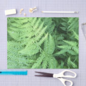 Papier Mousseline Fougères dans la forêt (Artisanat)