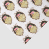 Papier Mousseline Fraîchir le papier de tissu Peep (Détail)