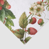 Papier Mousseline fraise 1er anniversaire Berry 1er (Détail)