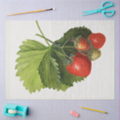 Papier Mousseline Fraise vintage (Artisanat)