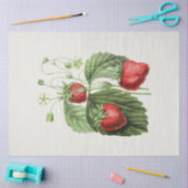 Papier Mousseline fraise vintage (Artisanat)