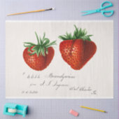 Papier Mousseline Fraise vintage (Artisanat)