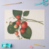 Papier Mousseline Fraise vintage (Artisanat)