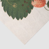 Papier Mousseline Fraise vintage (Détail)